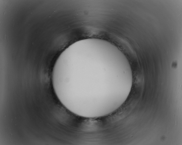 X0000103970607200809261835