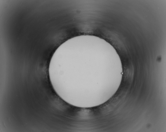 X0000103970609200809261835