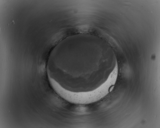 X0000103970610200809261835