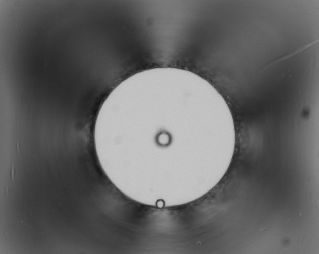 X0000103970611200809261835