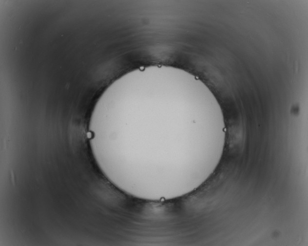 X0000103970613200809261835