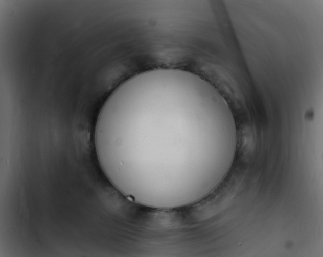 X0000103970615200809261835