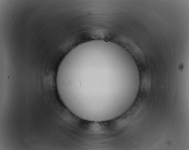 X0000103970616200809261835