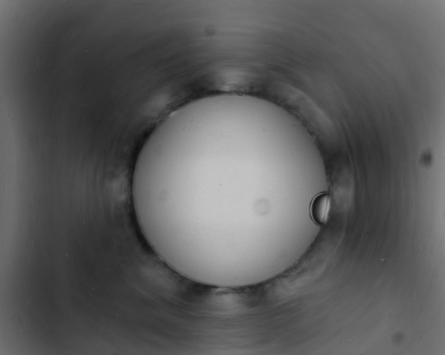 X0000103970620200809261835