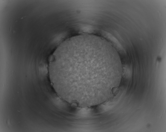 X0000103970621200809261835