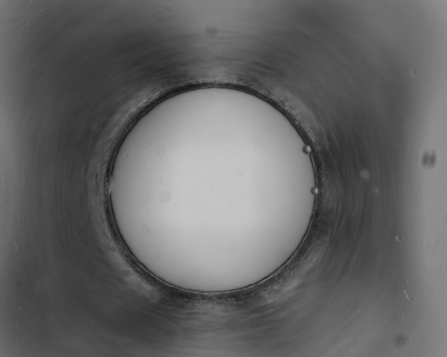 X0000103970625200809261835