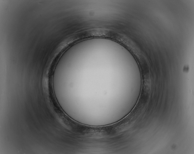 X0000103970626200809261835