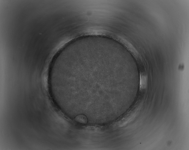 X0000103970627200809261835