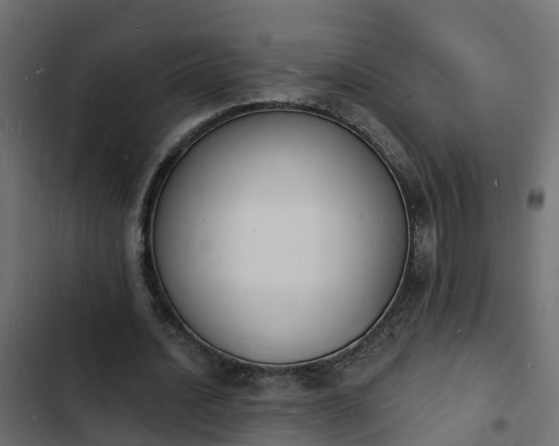 X0000103970628200809261835