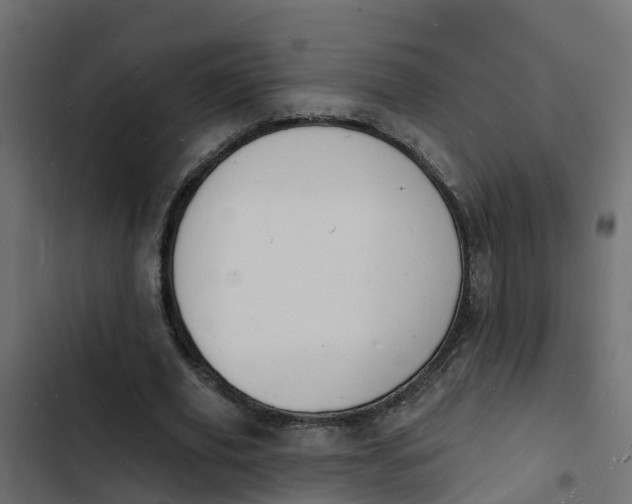 X0000103970629200809261835