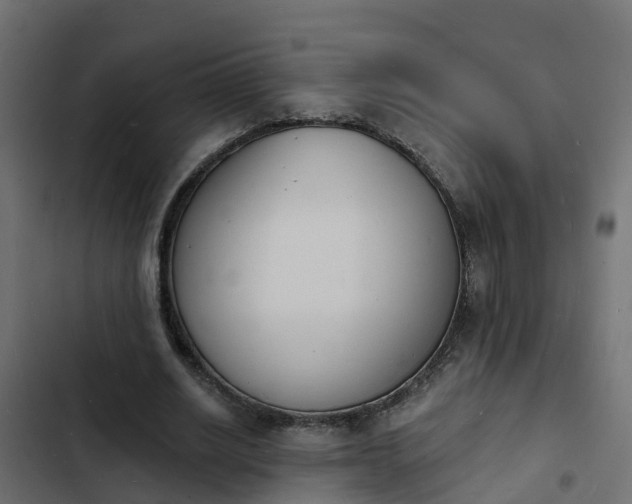 X0000103970630200809261835