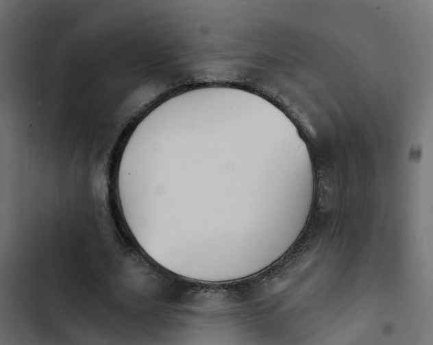 X0000103970631200809261835