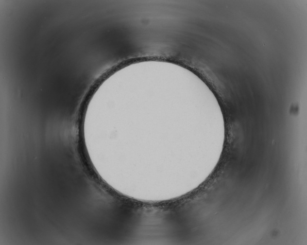 X0000103970632200809261835