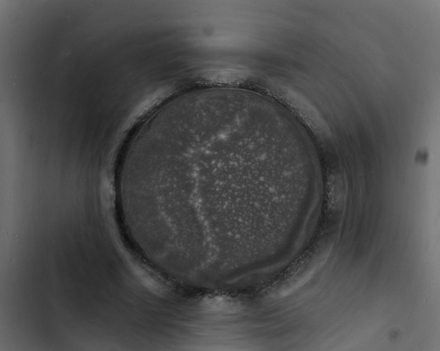 X0000103970634200809261835