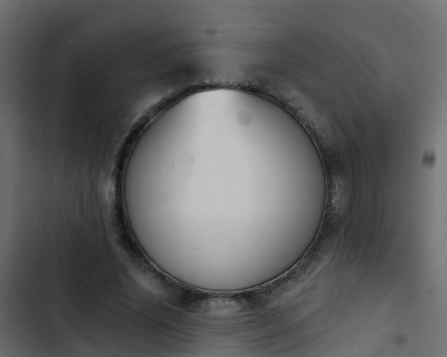 X0000103970636200809261835