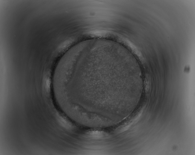 X0000103970637200809261835