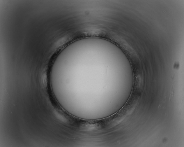 X0000103970638200809261835