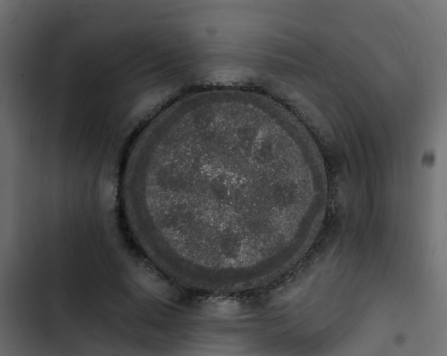 X0000103970640200809261835