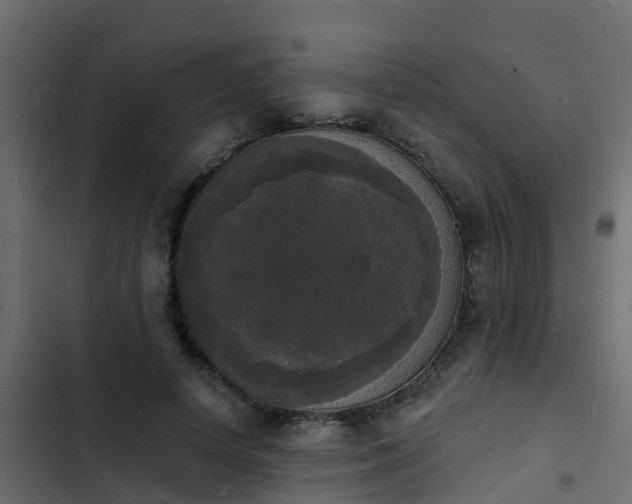 X0000103970642200809261835