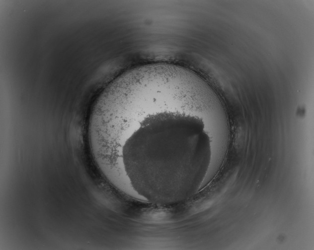 X0000103970643200809261835