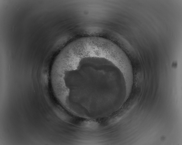 X0000103970644200809261835