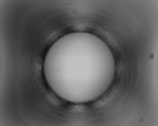 X0000103970645200809261835