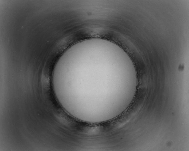 X0000103970646200809261835