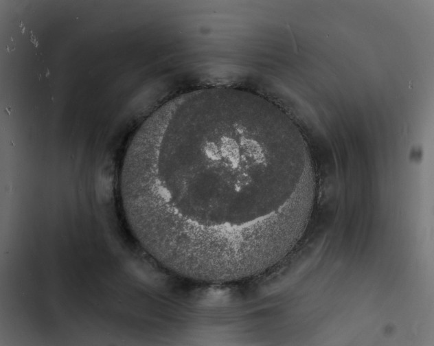 X0000103970647200809261835