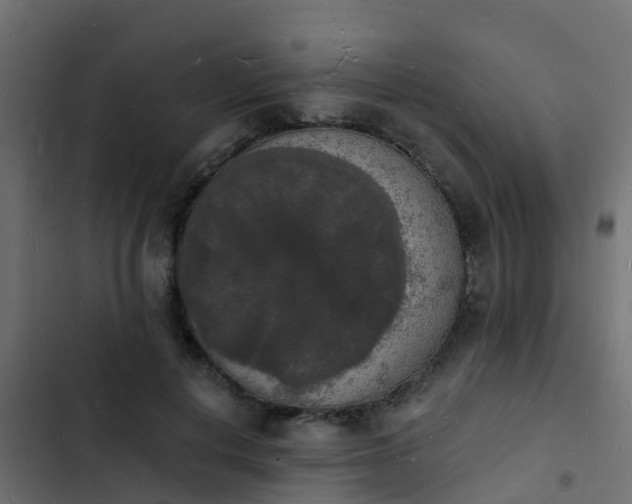 X0000103970648200809261835