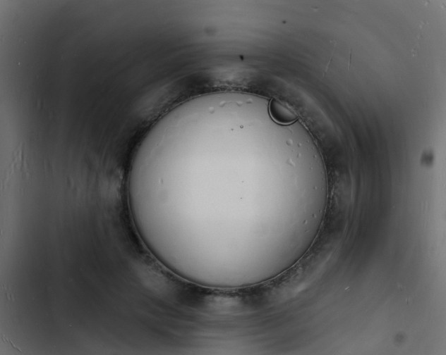 X0000103970649200809261835