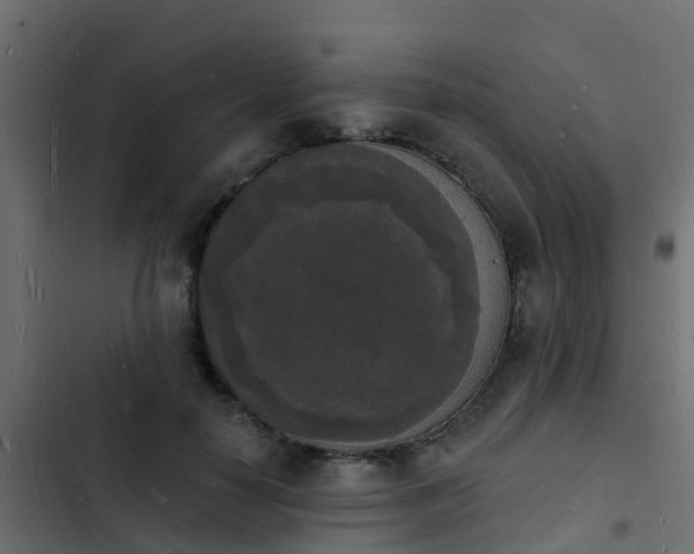 X0000103970650200809261835