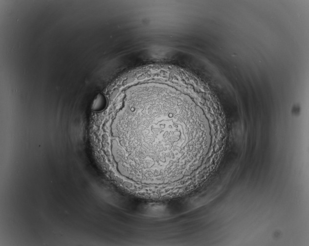 X0000103970651200809261835