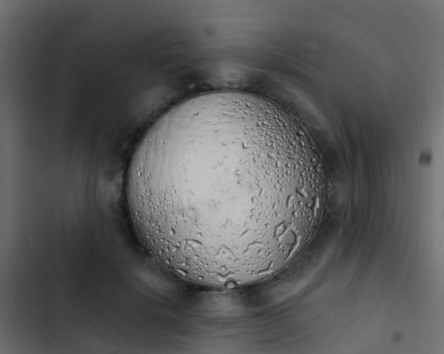 X0000103970652200809261835