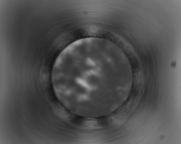 X0000103970653200809261835