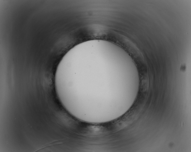 X0000103970654200809261835