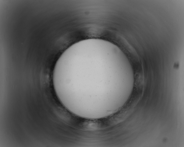 X0000103970655200809261835