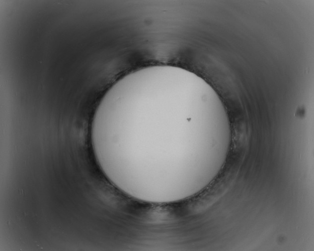 X0000103970656200809261835