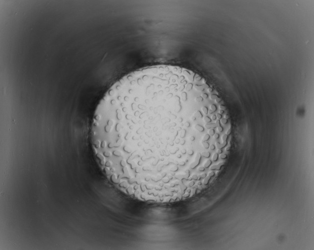 X0000103970657200809261835