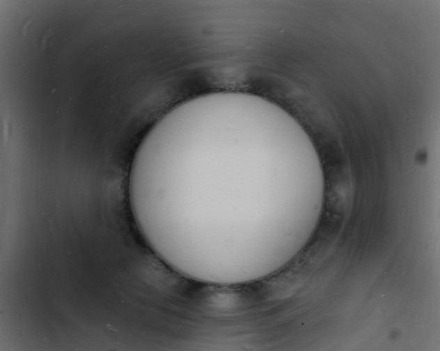 X0000103970658200809261835