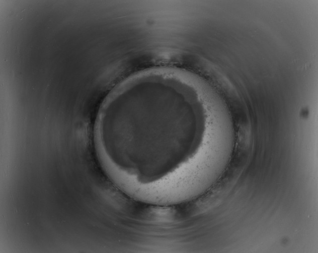 X0000103970659200809261835