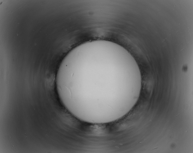 X0000103970660200809261835