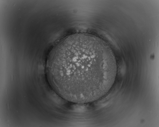 X0000103970661200809261835