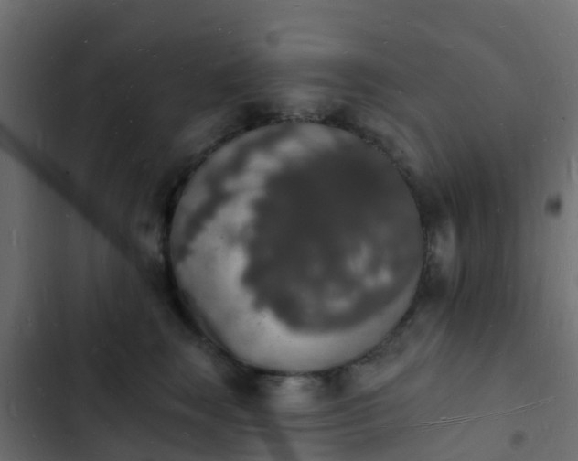 X0000103970663200809261835