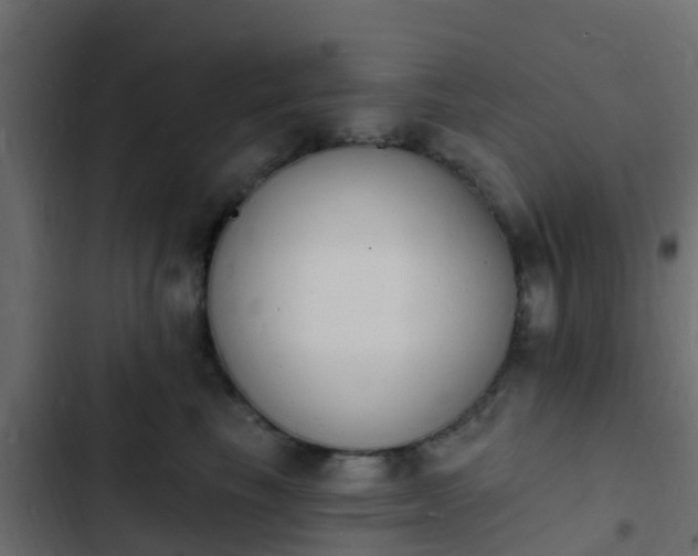 X0000103970665200809261835