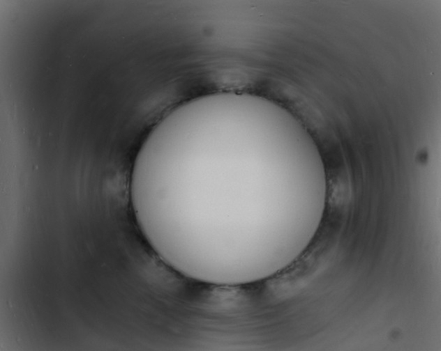 X0000103970666200809261835