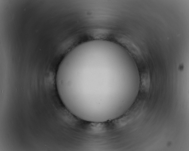 X0000103970667200809261835