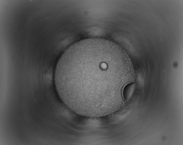 X0000103970668200809261835