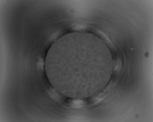 X0000103970669200809261835