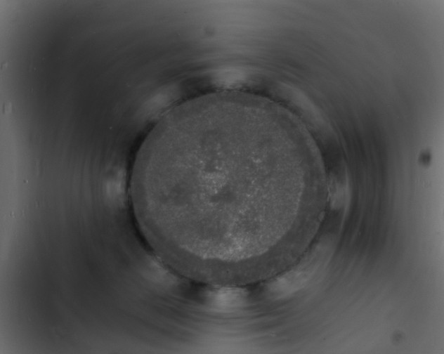 X0000103970670200809261835