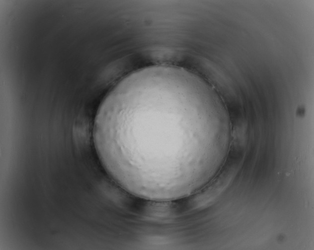 X0000103970671200809261835